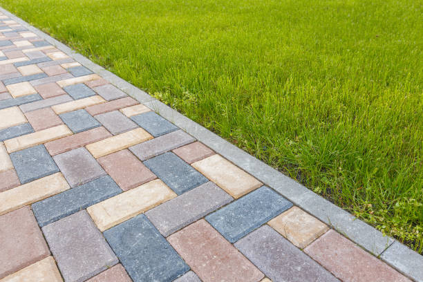 Best Decorative Driveway Pavers  in Golden Valley, MN
